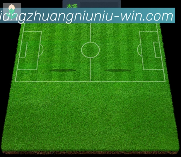 奖项2
